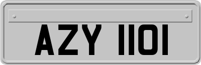 AZY1101