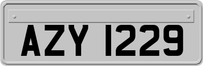 AZY1229