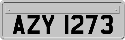 AZY1273