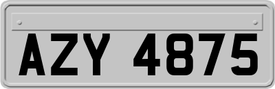 AZY4875