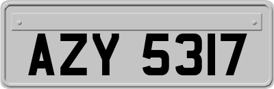 AZY5317