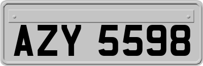 AZY5598