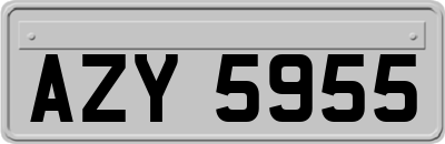AZY5955