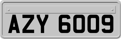 AZY6009