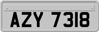 AZY7318