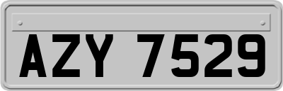 AZY7529