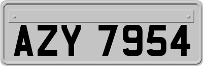 AZY7954