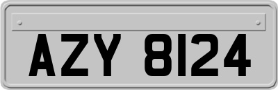 AZY8124