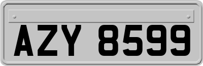 AZY8599