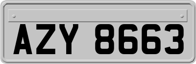 AZY8663