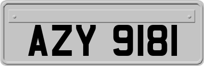 AZY9181