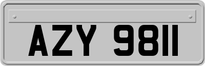 AZY9811