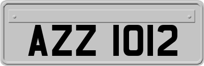 AZZ1012
