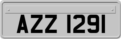 AZZ1291