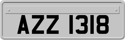 AZZ1318