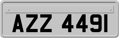 AZZ4491