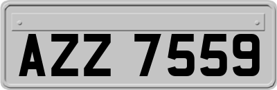 AZZ7559