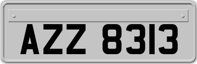 AZZ8313