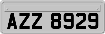 AZZ8929