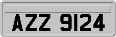 AZZ9124