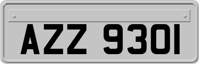 AZZ9301