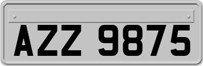 AZZ9875