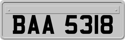 BAA5318