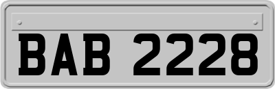 BAB2228