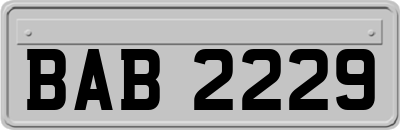 BAB2229