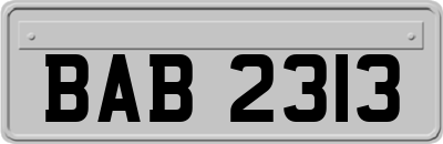 BAB2313
