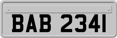 BAB2341