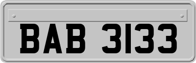 BAB3133