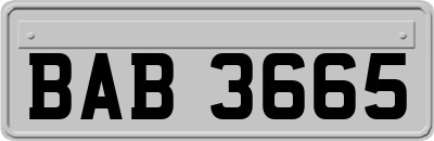 BAB3665