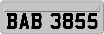 BAB3855