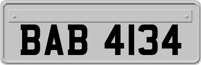 BAB4134