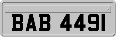 BAB4491
