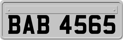 BAB4565