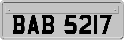 BAB5217