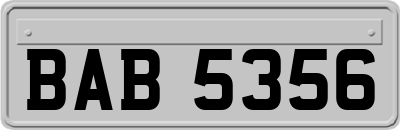 BAB5356