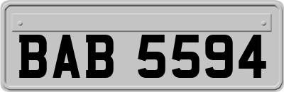 BAB5594