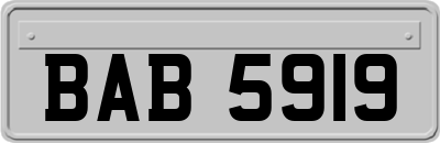 BAB5919