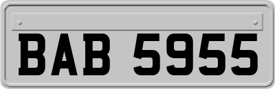 BAB5955
