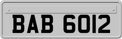 BAB6012