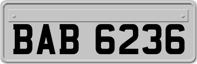 BAB6236