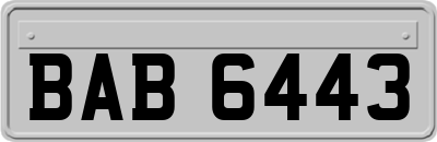 BAB6443