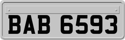 BAB6593