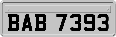 BAB7393