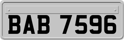 BAB7596