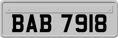 BAB7918