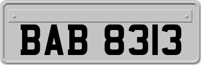 BAB8313